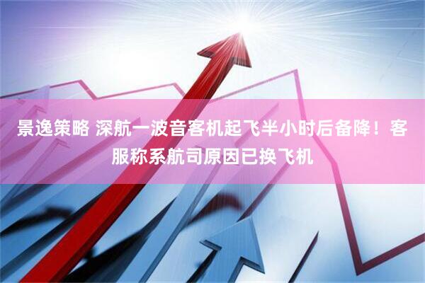 景逸策略 深航一波音客机起飞半小时后备降！客服称系航司原因已换飞机