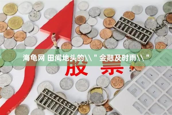 海龟网 田间地头的\＂金融及时雨\＂