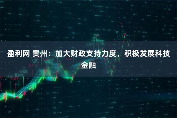 盈利网 贵州：加大财政支持力度，积极发展科技金融