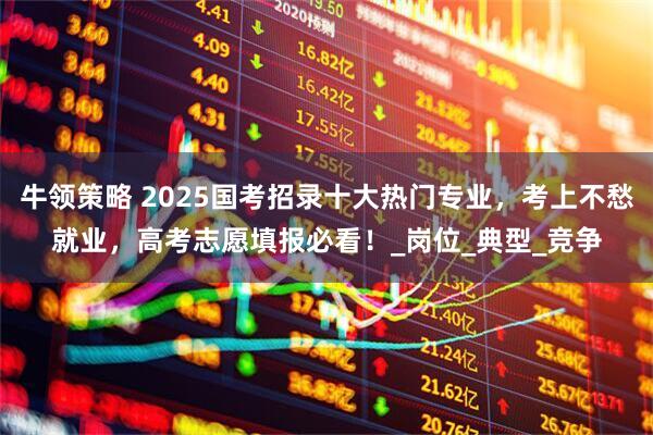 牛领策略 2025国考招录十大热门专业，考上不愁就业，高考志愿填报必看！_岗位_典型_竞争