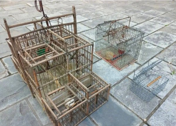 深富优配 北京警方：见到这种笼子，立即举报